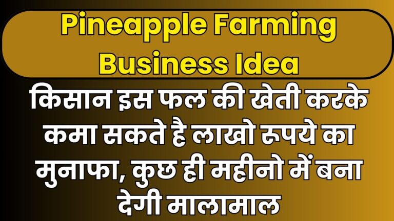 Pineapple Farming Business Idea