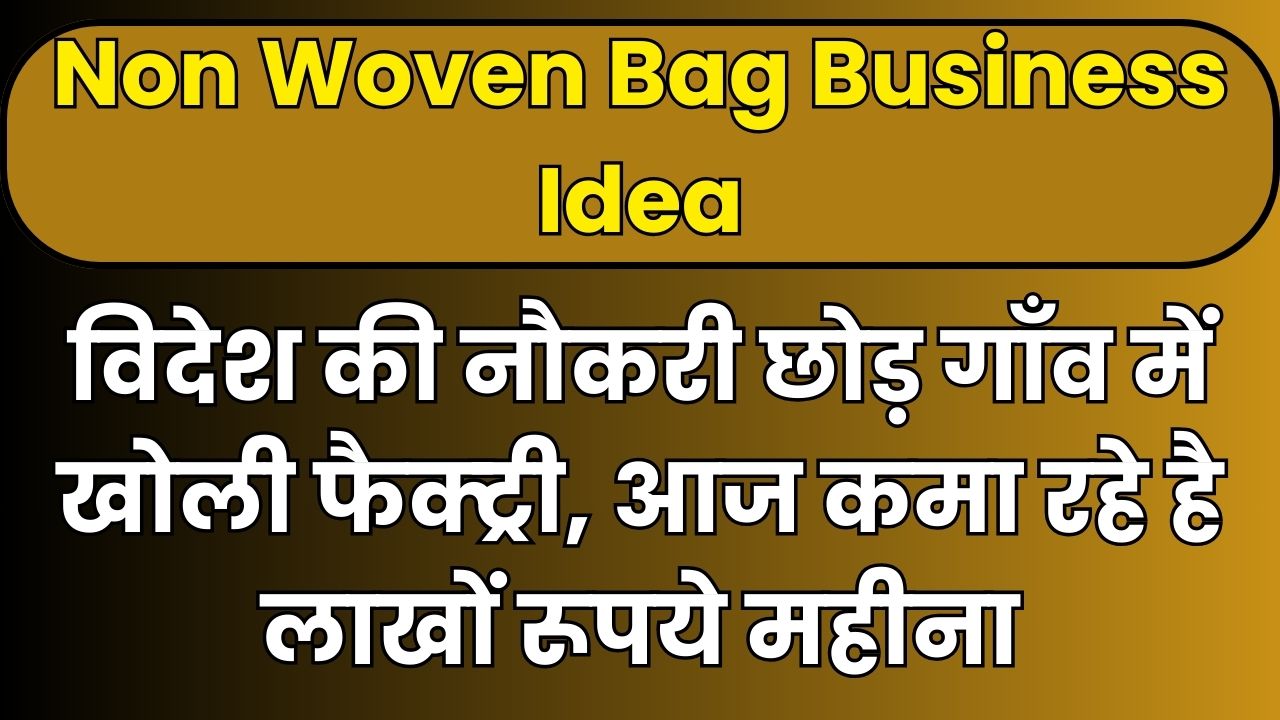 Non Woven Bag Business Idea
