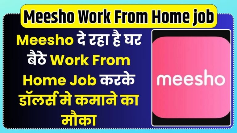 Meesho Work From Home job