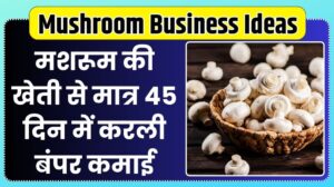 Mushroom Business Ideas
