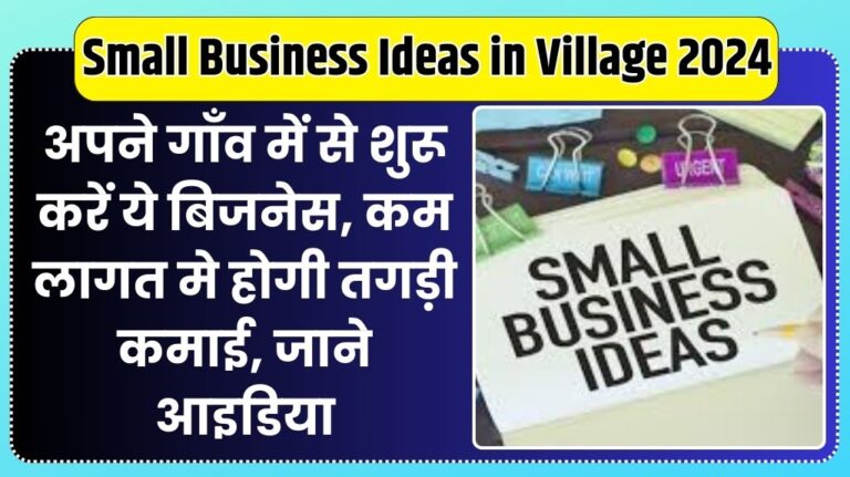 Small Business Ideas in Village 2024